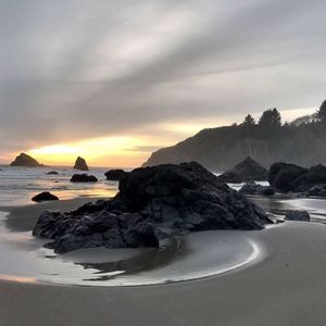 Meet your Posher, Riena